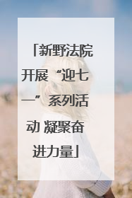 新野法院开展“迎七一”系列活动 凝聚奋进力量