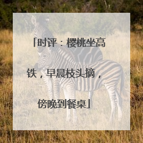 时评：樱桃坐高铁，早晨枝头摘，傍晚到餐桌