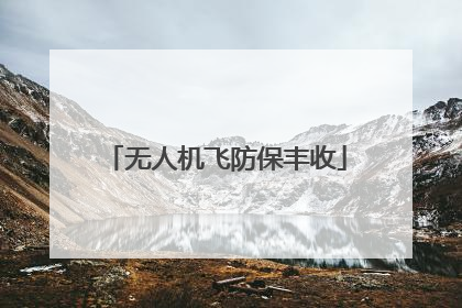 无人机飞防保丰收