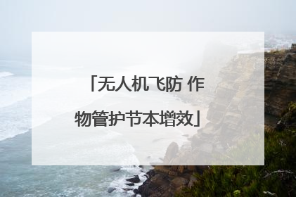 无人机飞防 作物管护节本增效
