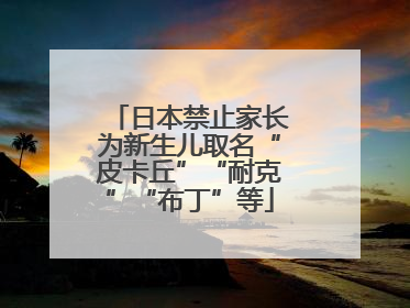 日本禁止家长为新生儿取名“皮卡丘”“耐克”“布丁”等