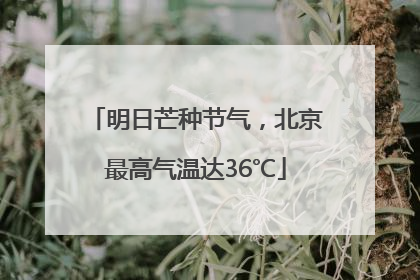 明日芒种节气，北京最高气温达36℃