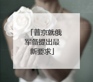 普京就俄军备提出最新要求