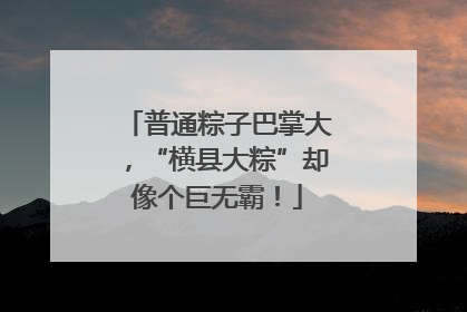 普通粽子巴掌大，“横县大粽”却像个巨无霸！