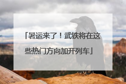 暑运来了！武铁将在这些热门方向加开列车