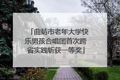 曲靖市老年大学快乐男孩合唱团首次跨省实践斩获一等奖