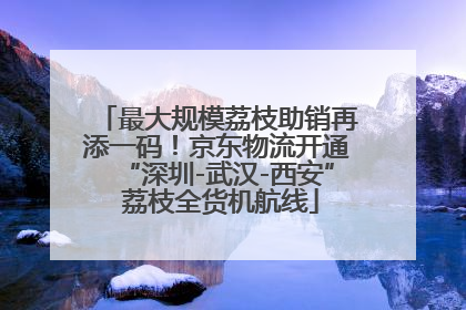 最大规模荔枝助销再添一码！京东物流开通“深圳-武汉-西安” 荔枝全货机航线