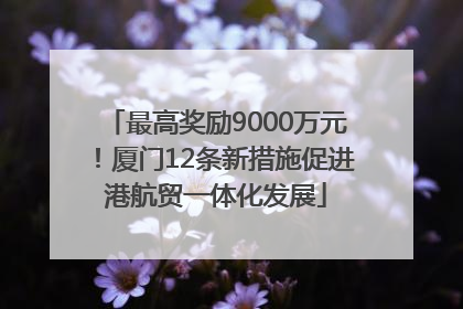 最高奖励9000万元！厦门12条新措施促进港航贸一体化发展