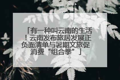 有一种叫云南的生活！云南发布旅居发展正负面清单与暑期文旅促消费“组合拳”