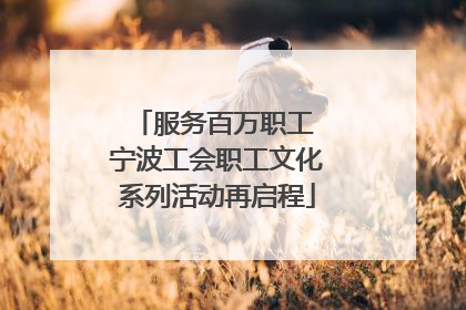 服务百万职工 宁波工会职工文化系列活动再启程