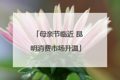 母亲节临近 昆明消费市场升温