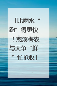 比雨水“跑”得更快！慈溪梅农与天争“鲜”忙抢收