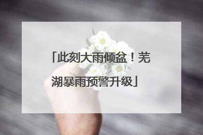 此刻大雨倾盆！芜湖暴雨预警升级
