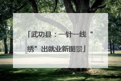 武功县：一针一线“绣”出就业新图景