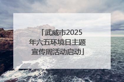 武威市2025年六五环境日主题宣传周活动启动