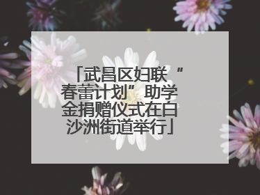 武昌区妇联“春蕾计划”助学金捐赠仪式在白沙洲街道举行