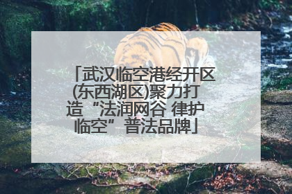 武汉临空港经开区(东西湖区)聚力打造“法润网谷 律护临空”普法品牌