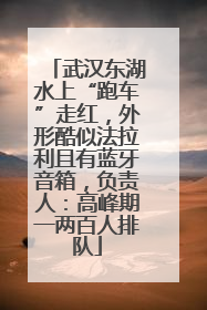 武汉东湖水上“跑车”走红，外形酷似法拉利且有蓝牙音箱，负责人：高峰期一两百人排队