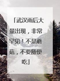 武汉雨后大量出现，非常罕见！不是蘑菇，不要随便吃