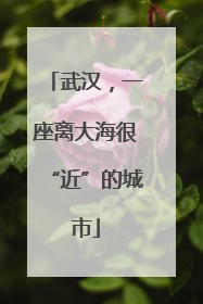 武汉，一座离大海很“近”的城市