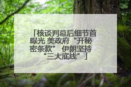 核谈判幕后细节首曝光 美政府“开秘密条款” 伊朗坚持“三大底线”