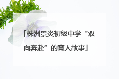 株洲景炎初级中学“双向奔赴”的育人故事