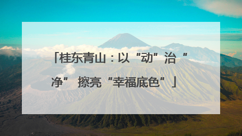 桂东青山：以“动”治“净” 擦亮“幸福底色”