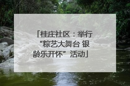 桂庄社区：举行“粽艺大舞台 银龄乐开怀”活动