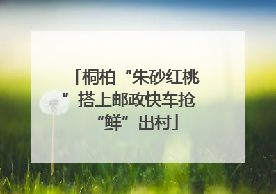 桐柏“朱砂红桃”搭上邮政快车抢“鲜”出村