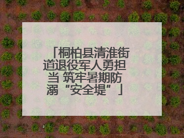 桐柏县清淮街道退役军人勇担当 筑牢暑期防溺“安全堤”