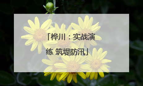桦川：实战演练 筑堤防汛