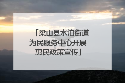 梁山县水泊街道为民服务中心开展惠民政策宣传