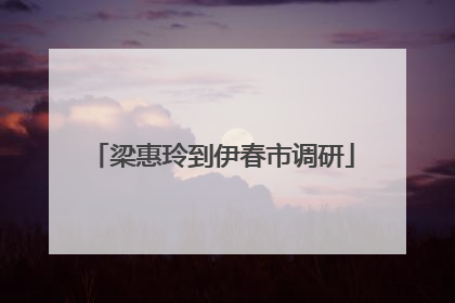 梁惠玲到伊春市调研