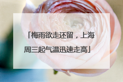 梅雨欲走还留，上海周三起气温迅速走高