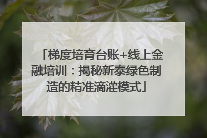 梯度培育台账+线上金融培训：揭秘新泰绿色制造的精准滴灌模式