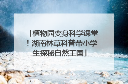 植物园变身科学课堂！湖南林草科普带小学生探秘自然王国