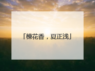楝花香，夏正浅