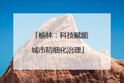 榆林：科技赋能城市精细化治理