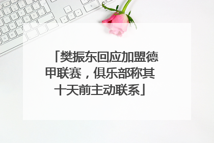 樊振东回应加盟德甲联赛，俱乐部称其十天前主动联系