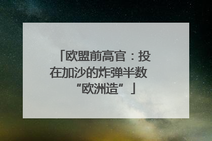 欧盟前高官：投在加沙的炸弹半数“欧洲造”