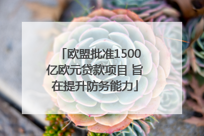 欧盟批准1500亿欧元贷款项目 旨在提升防务能力