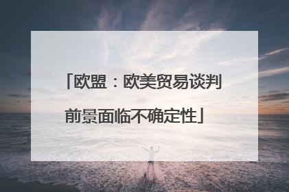 欧盟：欧美贸易谈判前景面临不确定性