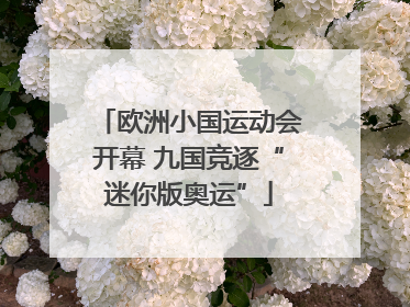 欧洲小国运动会开幕 九国竞逐“迷你版奥运”