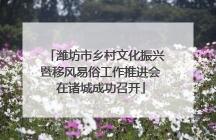 潍坊市乡村文化振兴暨移风易俗工作推进会在诸城成功召开