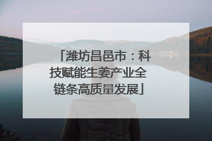 潍坊昌邑市：科技赋能生姜产业全链条高质量发展