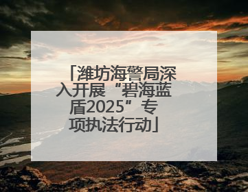 潍坊海警局深入开展“碧海蓝盾2025”专项执法行动