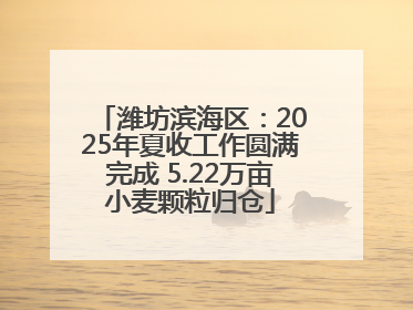 潍坊滨海区：2025年夏收工作圆满完成 5.22万亩小麦颗粒归仓