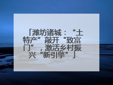 潍坊诸城：“土特产”敲开“致富门”，激活乡村振兴“新引擎”