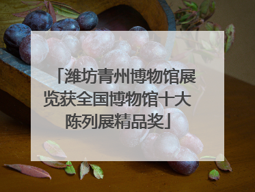 潍坊青州博物馆展览获全国博物馆十大陈列展精品奖