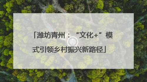潍坊青州：“文化+”模式引领乡村振兴新路径